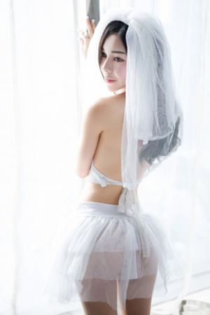 梅花儿香电视剧免费观看